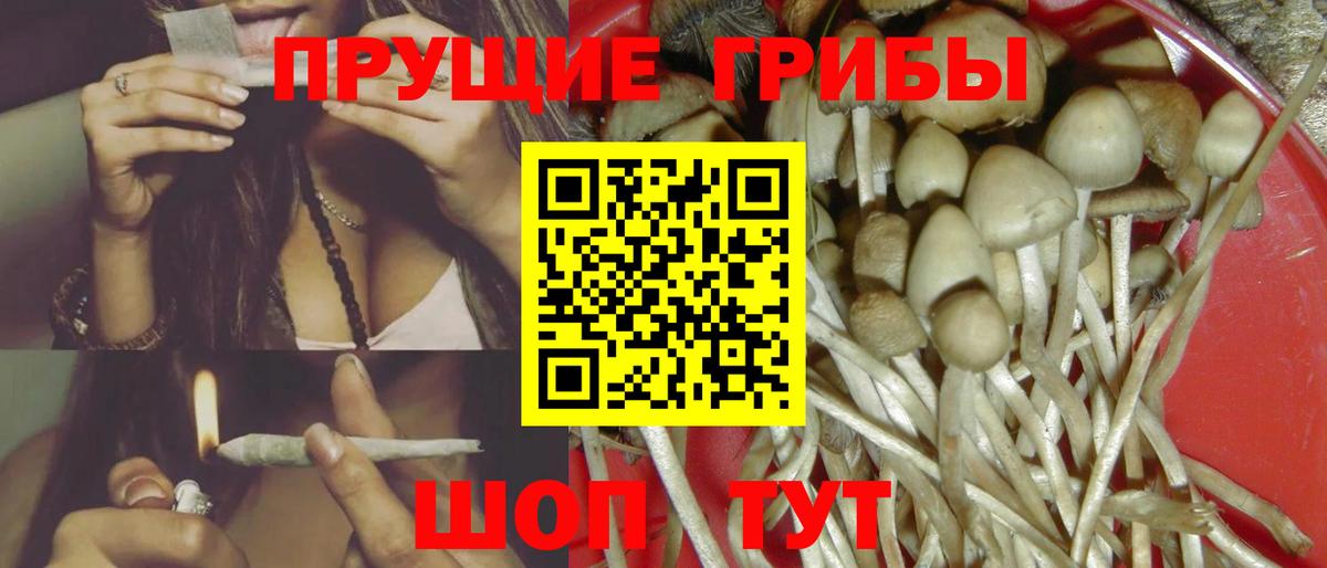 Комсомольск-на-Амуре  Псилоцибиновые грибы мицелий  Вход с VPN 