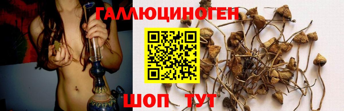 Псилоцибиновые грибы Magic Shrooms Комсомольск-на-Амуре